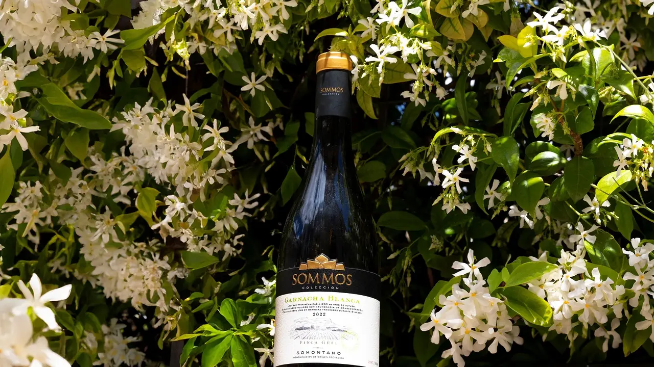 Sommos Colecci&oacute;n Garnacha Blanca triunfa en Bruselas