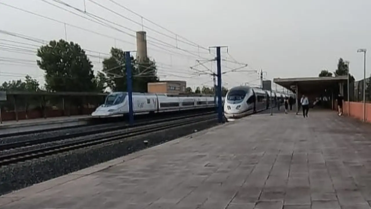 Trenes esperando en la estaci&oacute;n de Guadalajara