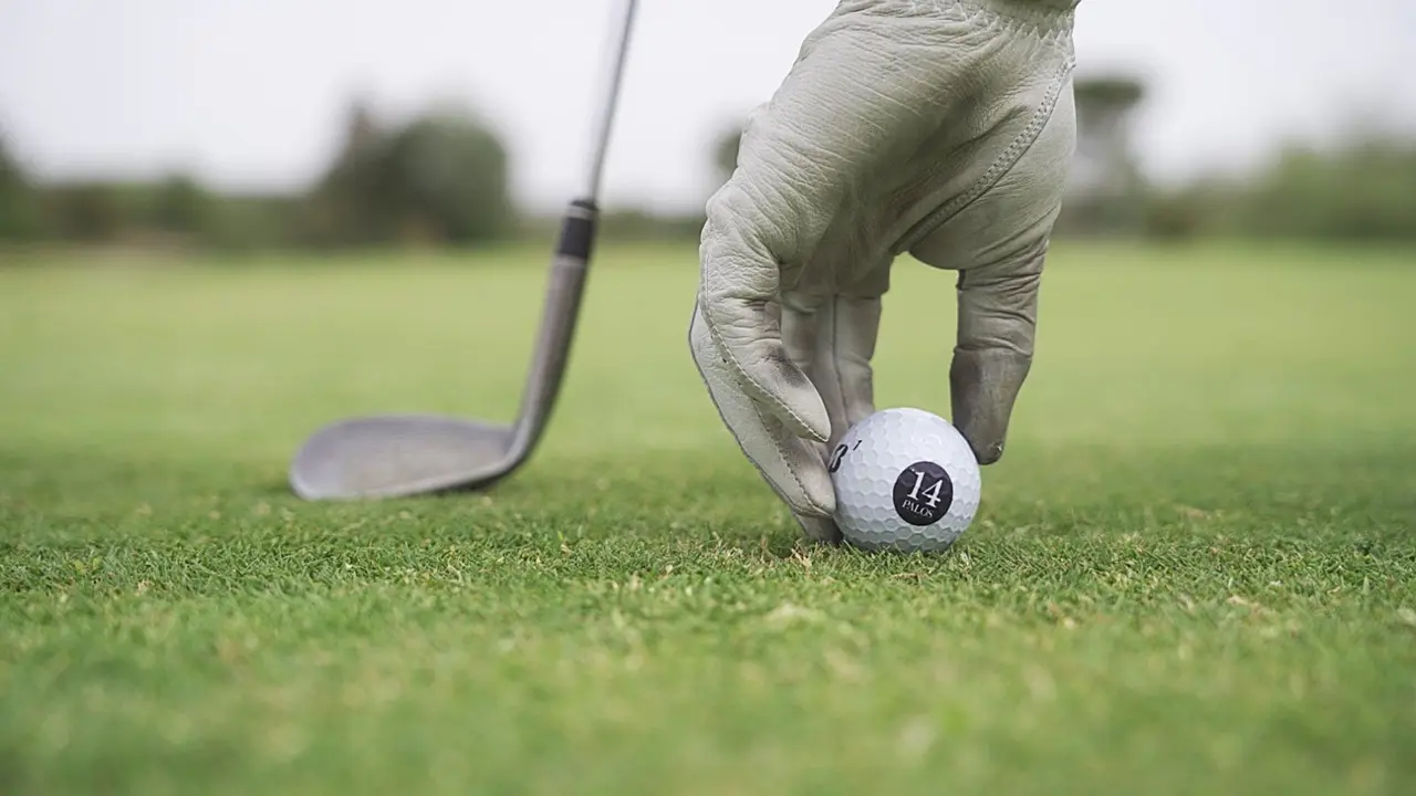 14 Palos Golf.