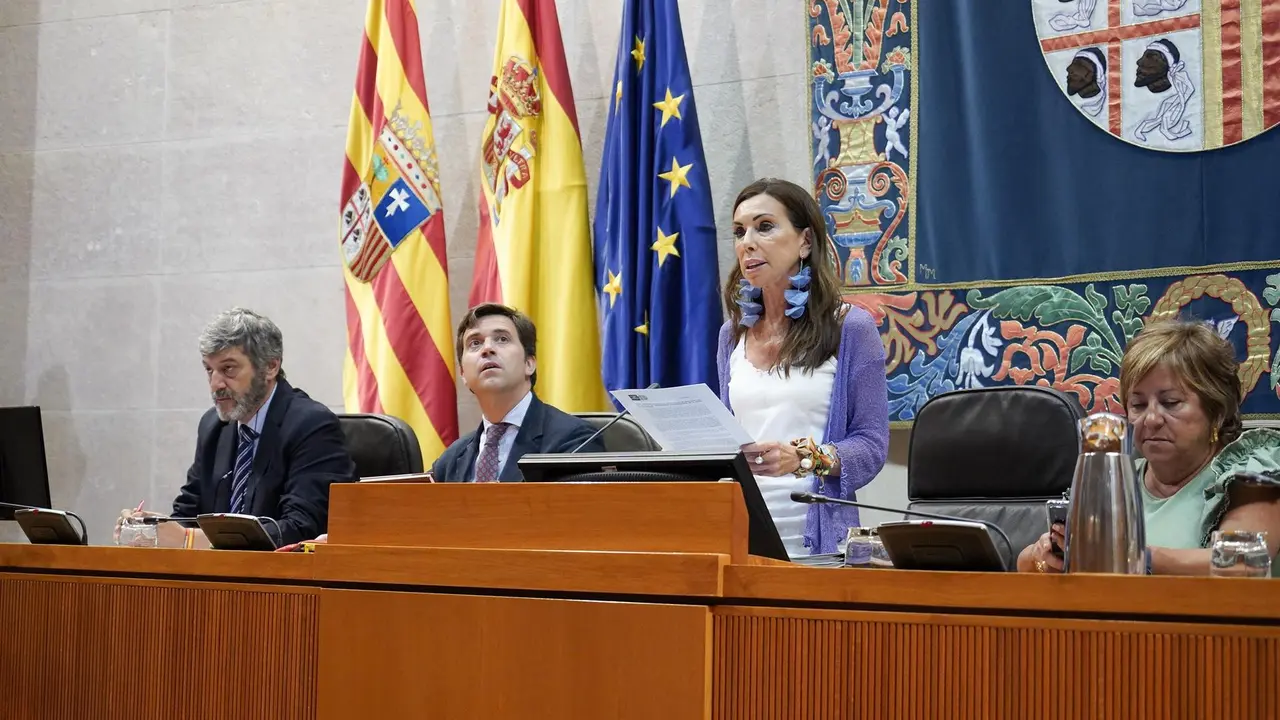 La presidenta de las Cortes de Arag&oacute;n, Marta Fern&aacute;ndez / Cortes de Arag&oacute;n