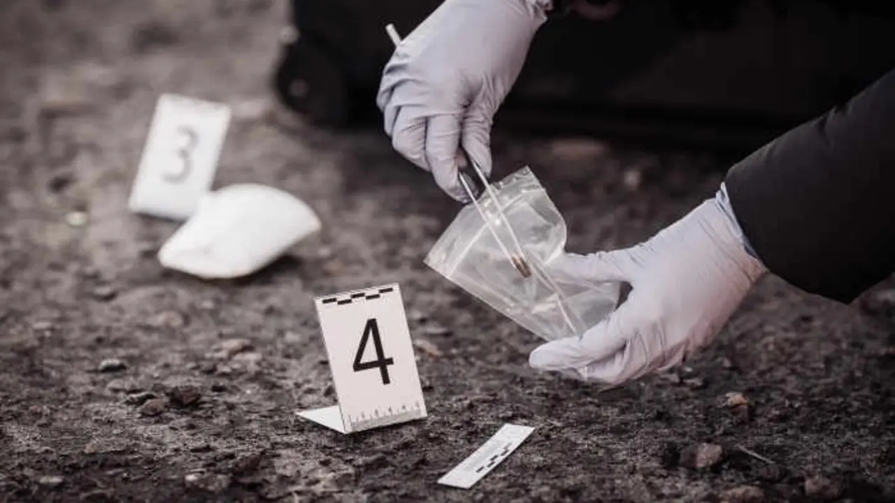 Estudiar criminolog&iacute;a en Zaragoza 