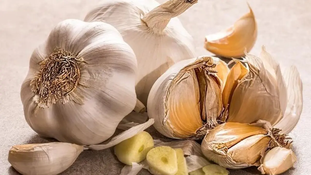 Consumir ajo crudo cuenta con numerosos beneficios para la salud pulmonar