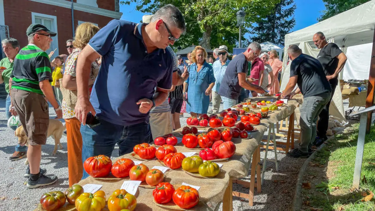 El tomate Per&oacute;n de Zaragoza revalida su t&iacute;tulo como mejor tomate de Espa&ntilde;a