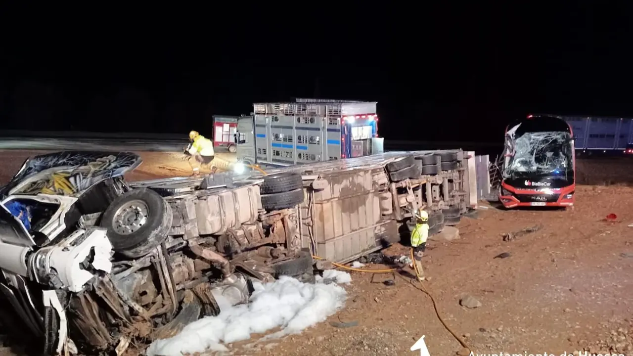 El cami&oacute;n accidentado transportaba terneros
