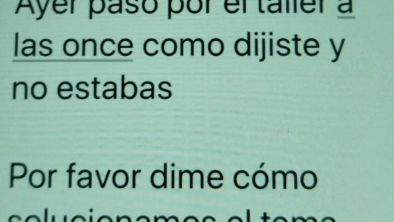 Imagen de parte de los mensajes mandados al taller por los due&ntilde;os del coche /H.A.