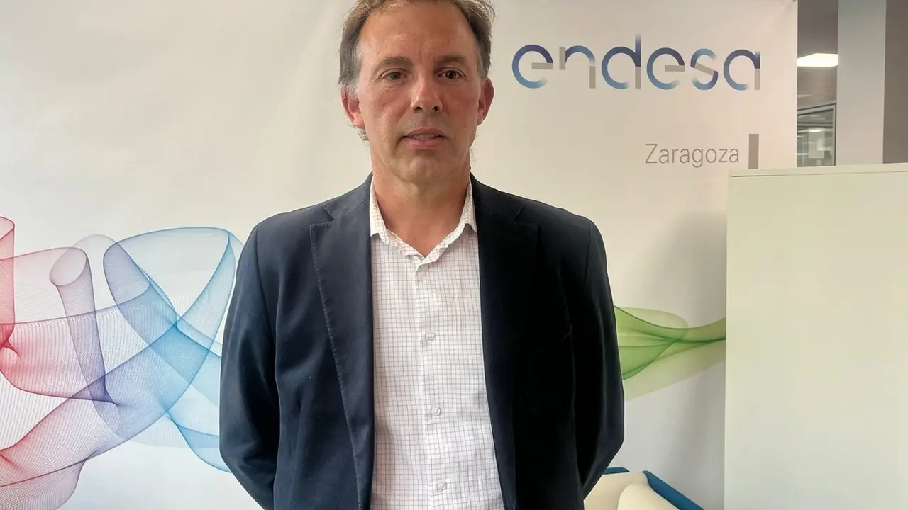 Manuel Mu&ntilde;oz Laguna, Endesa