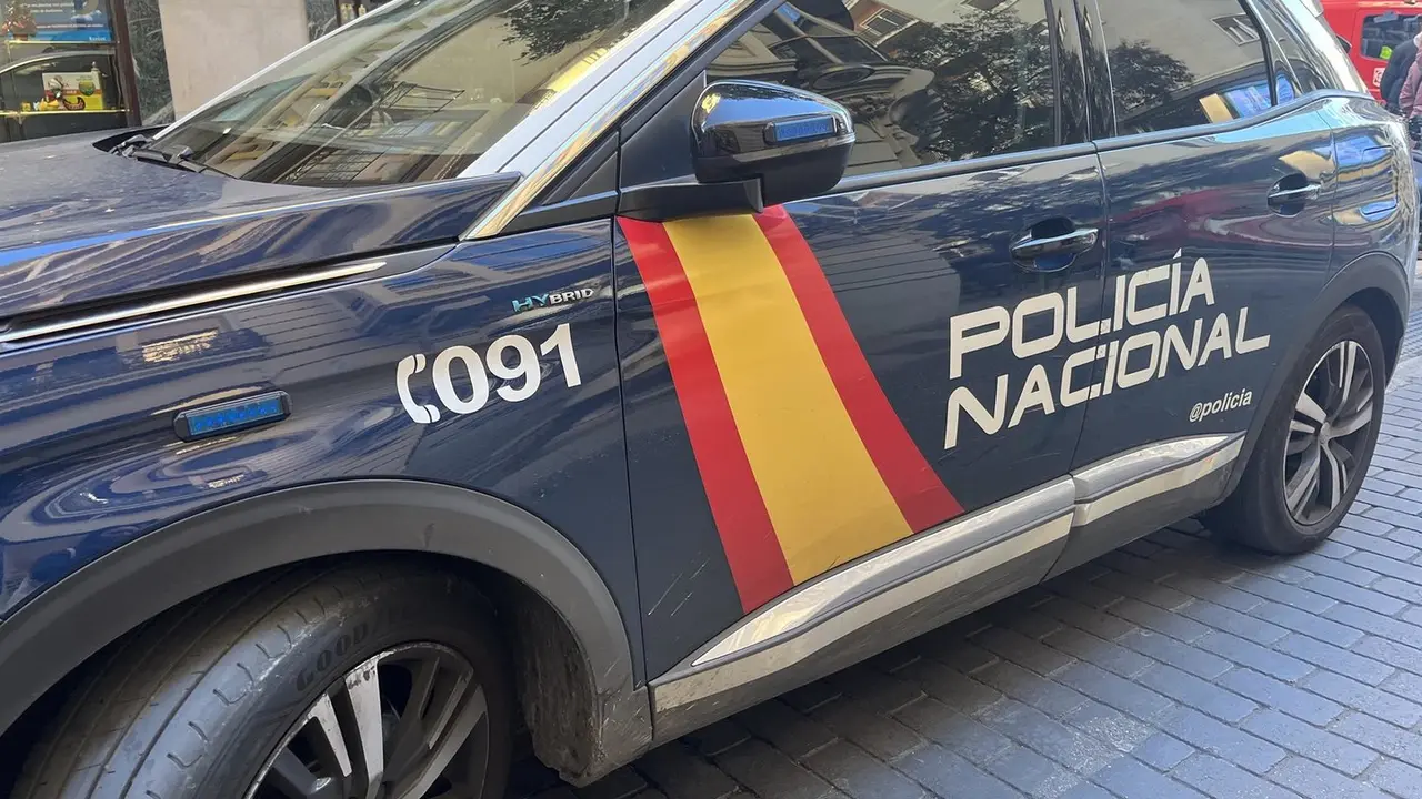 Coche de Polic&iacute;a Nacional. / E.P.