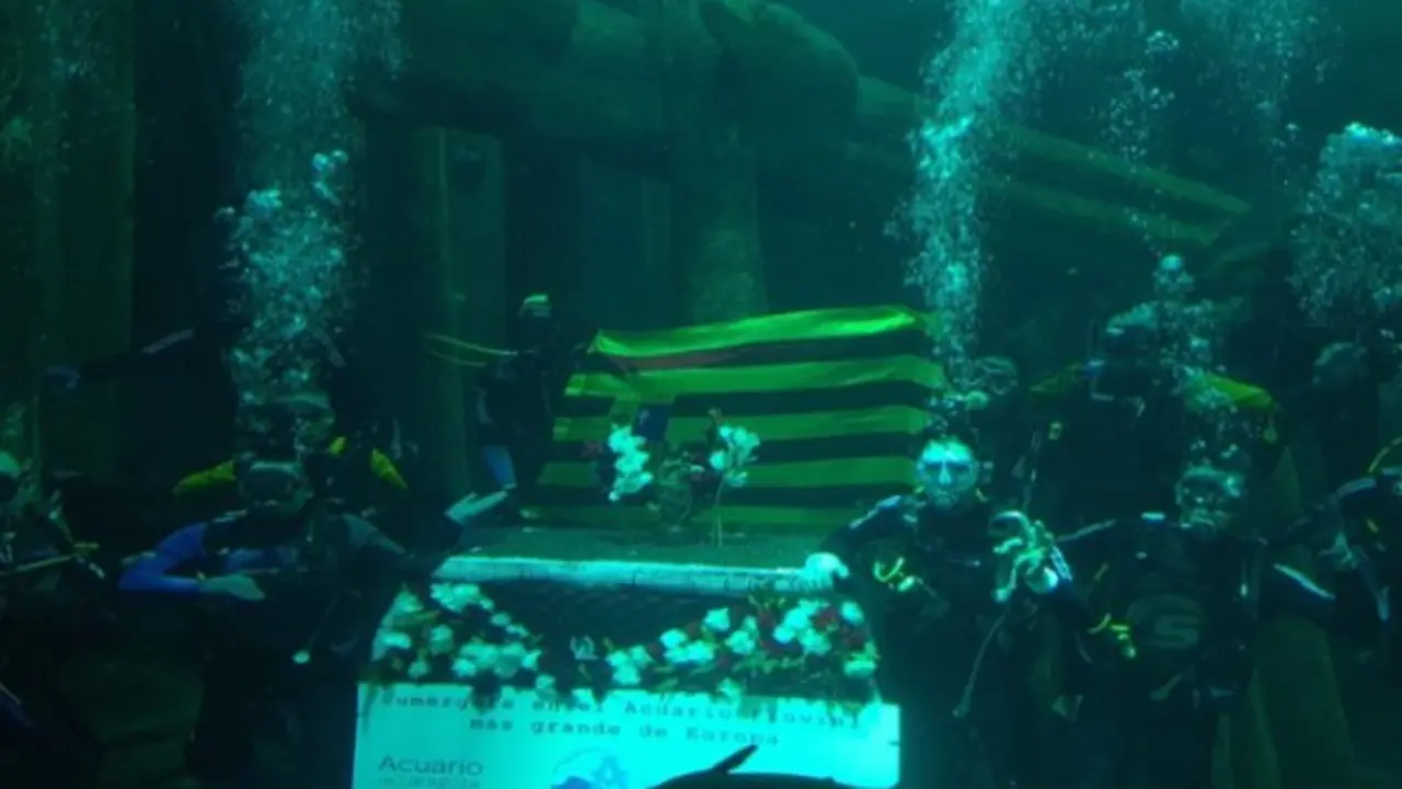 Ofrenda acu&aacute;tica en el acuario de Zaragoza