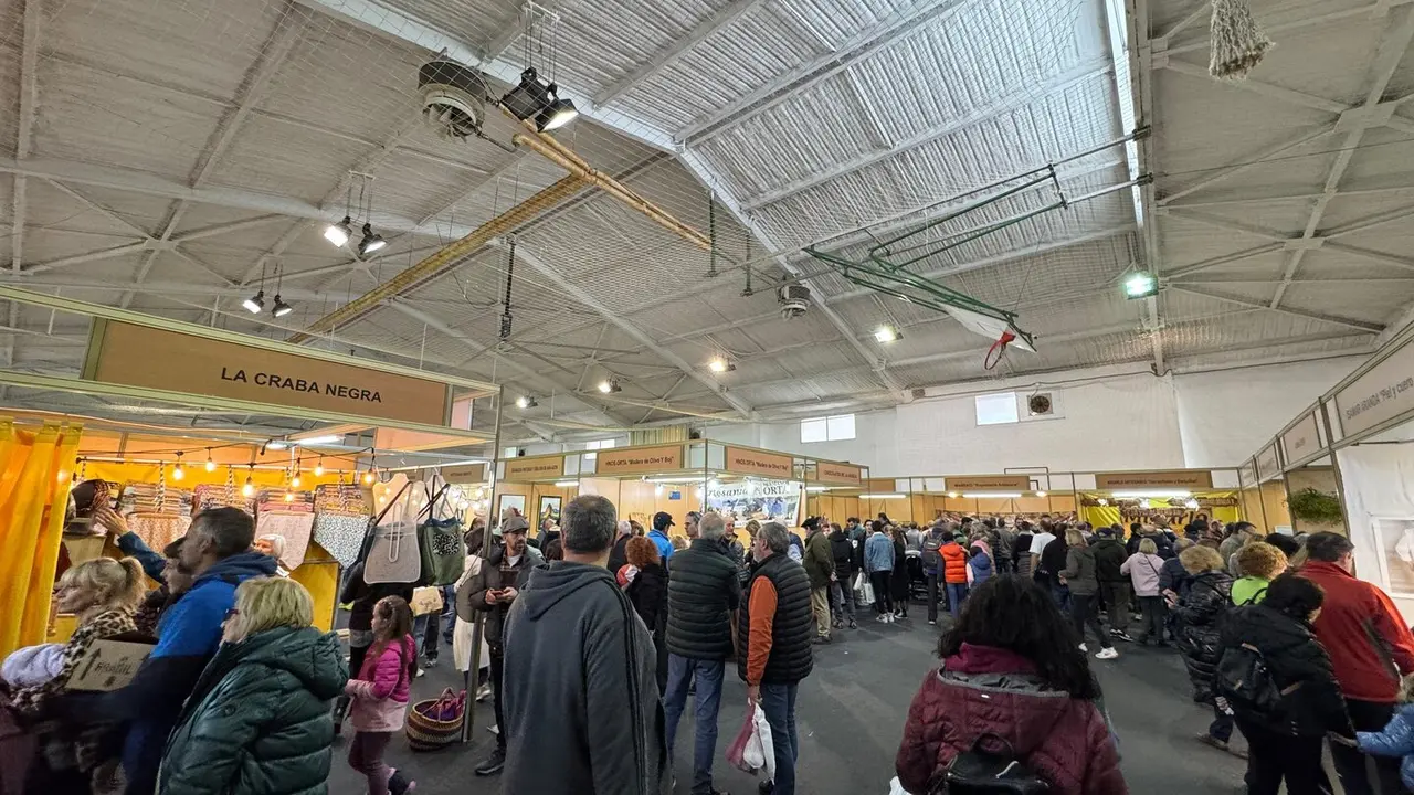 Feria de Oto&ntilde;o de Biescas 2024 (1)