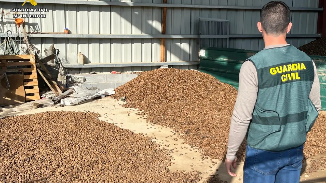 Almendras sustra&iacute;das en Bolea y Loarre