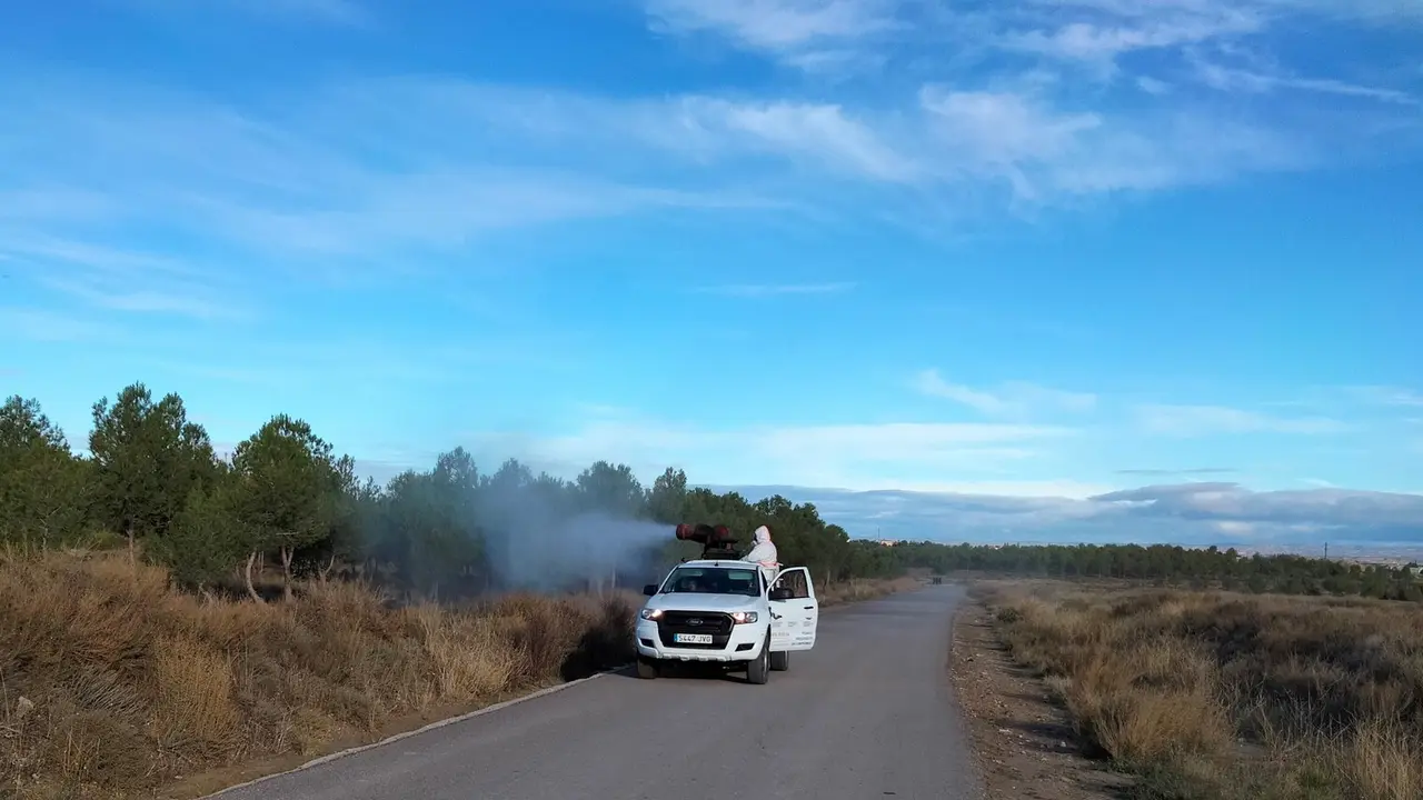Tratamiento preventivo contra la procesionaria en Ejea. / AYTO. EJEA