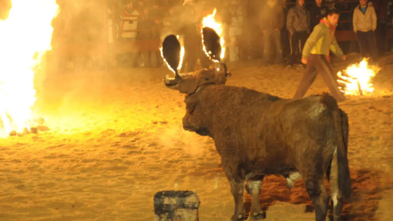 Celebraci&oacute;n del Toro de Fuego en Medinaceli.