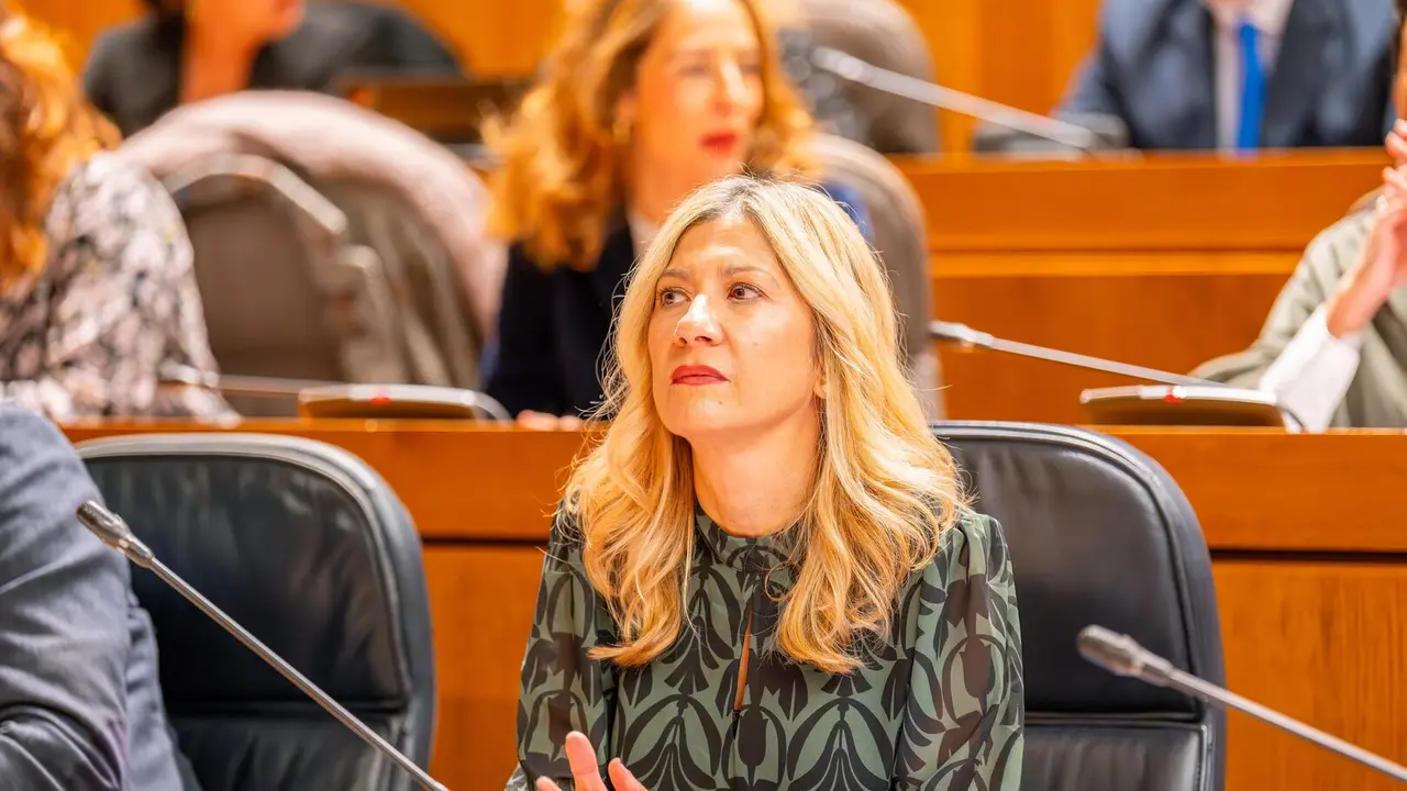 La vicepresidenta del Gobierno de Arag&oacute;n, Mar Vaquero, en el pleno de lunes