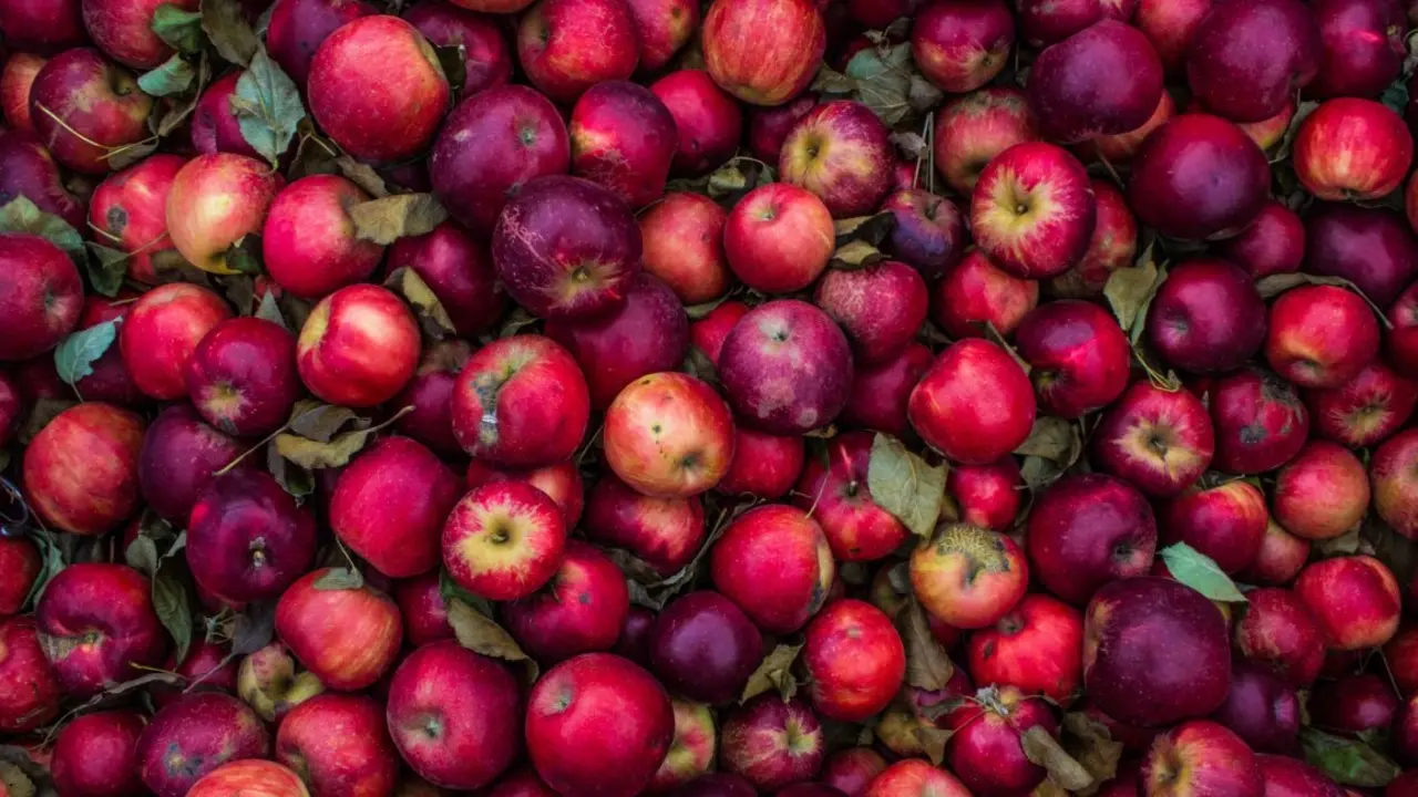 manzana