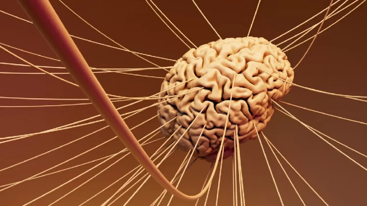 cerebro