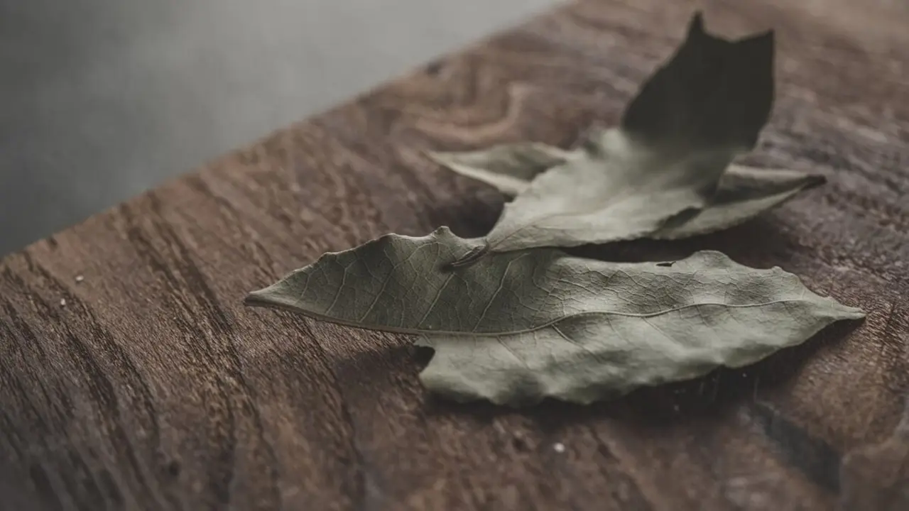 laurel