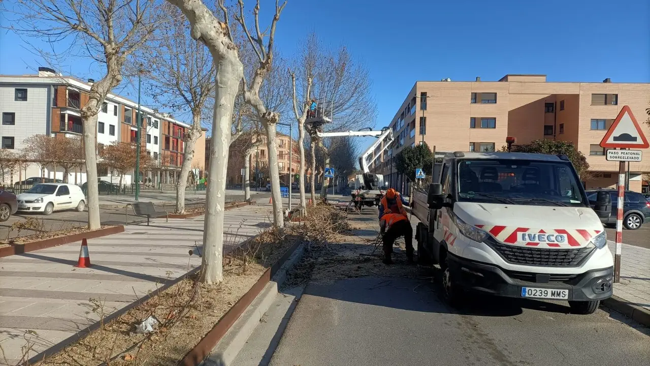 Trabajos en una zona ajardinada de Ejea de los Caballeros. / HA