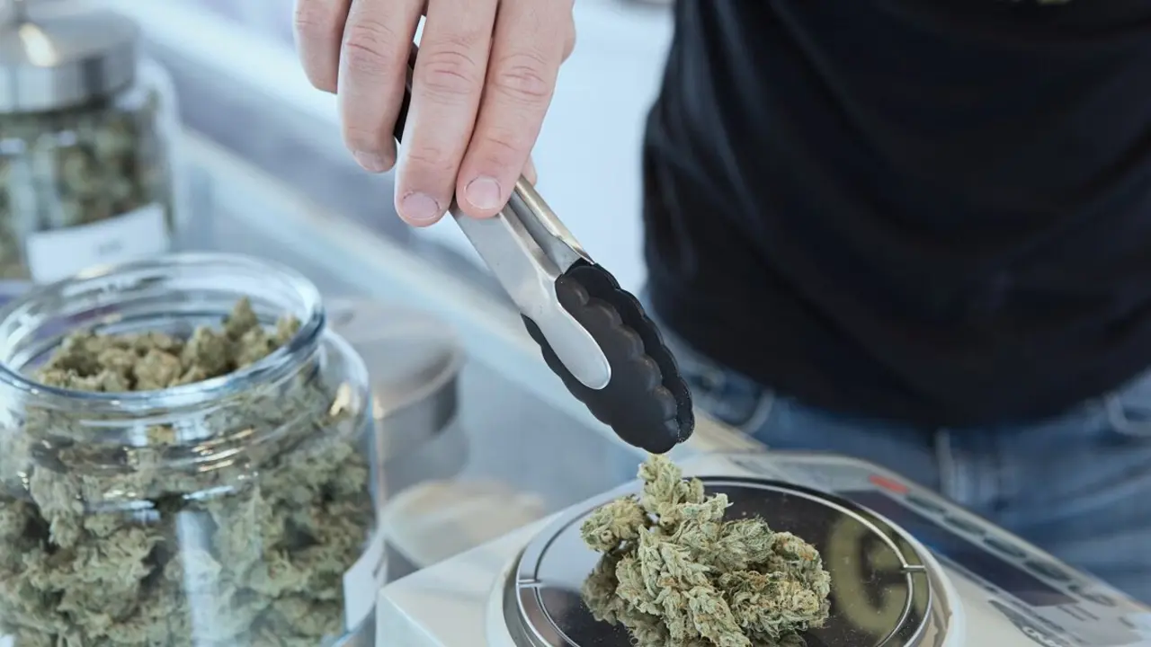 cannabis