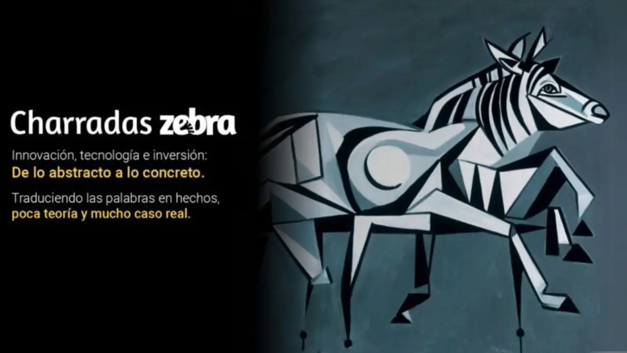 Charradas Zebra