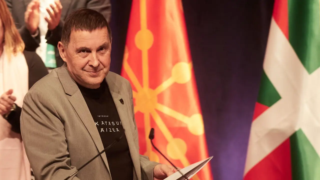 El secretario general de EH Bildu, Arnaldo Otegi / Eduardo Sanz - Europa Press