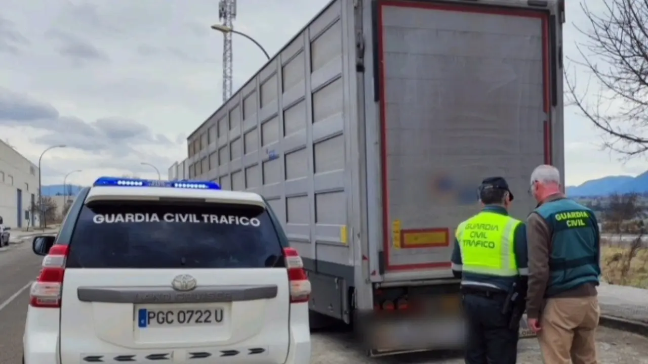 Inspecci&oacute;n del cami&oacute;n / GUARDIA CIVIL