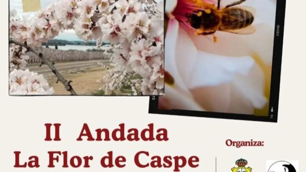 Cartel de la II andada popular La Flor de Caspe. / HA
