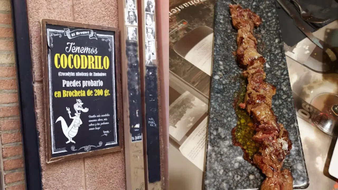 El bar de Zaragoza donde comer, canguro, cocodrilo o cebra.