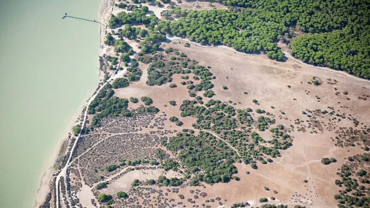 Parque Nacional Do&ntilde;ana / H&eacute;ctor Garrido