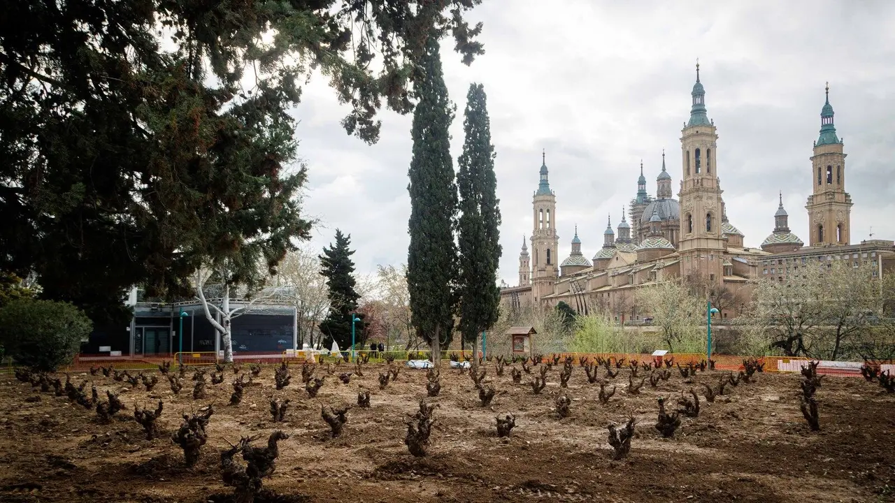 Jard&iacute;n de la Garnacha, en el parque de Macanaz.