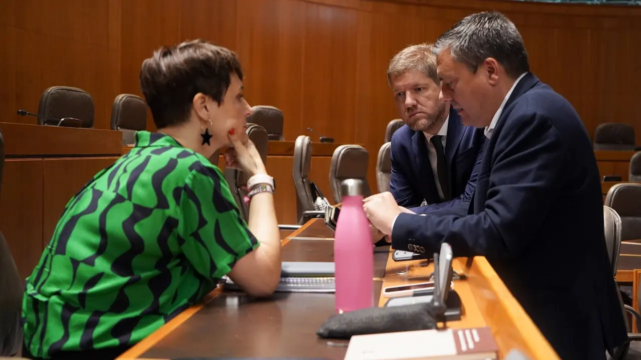 Leticia Soria, Fernando Sab&eacute;s y Marcelino Iglesias, del PSOE, en el pleno
