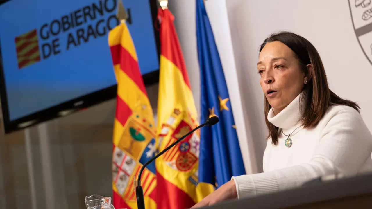 La consejera de Bienestar Social y Familia, Carmen Sus&iacute;n, en la sala de prensa del Pignatelli