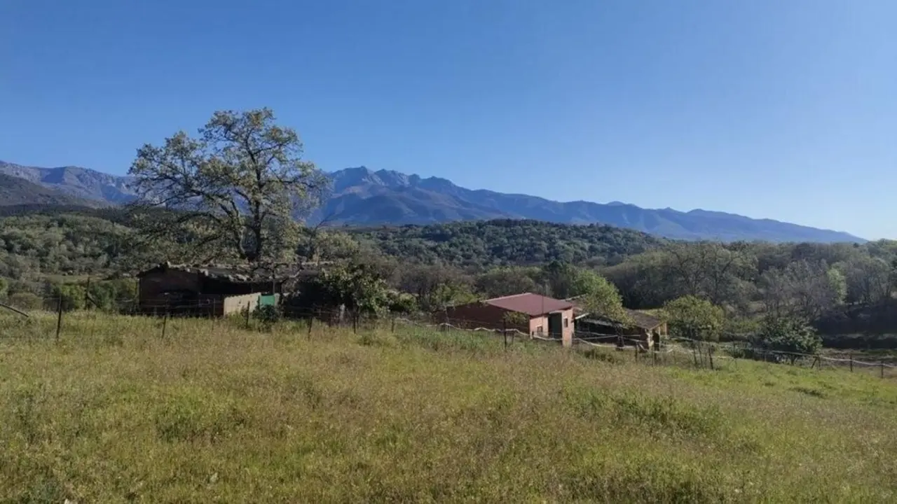 El nuevo objetivo de los okupas