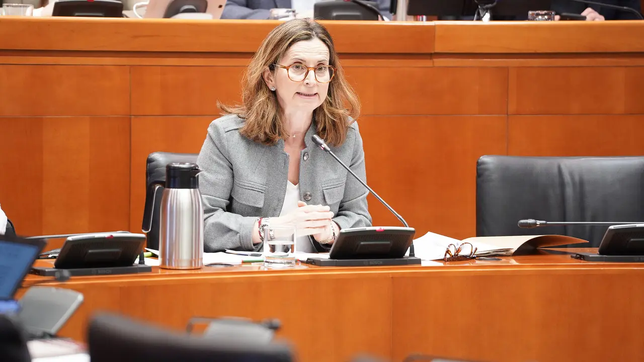La directora general de Financiaci&oacute;n y Fondos Europeos del Gobierno de Arag&oacute;n, Isabel Mart&iacute;n-Retortillo./ Cortes