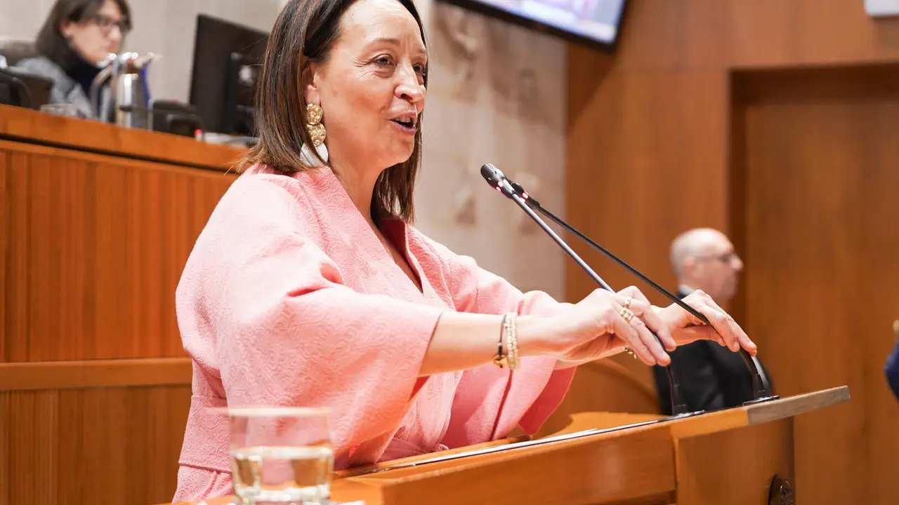 La consejera de Bienestar Social y Familia, Carmen Sus&iacute;n, en la Aljafer&iacute;a