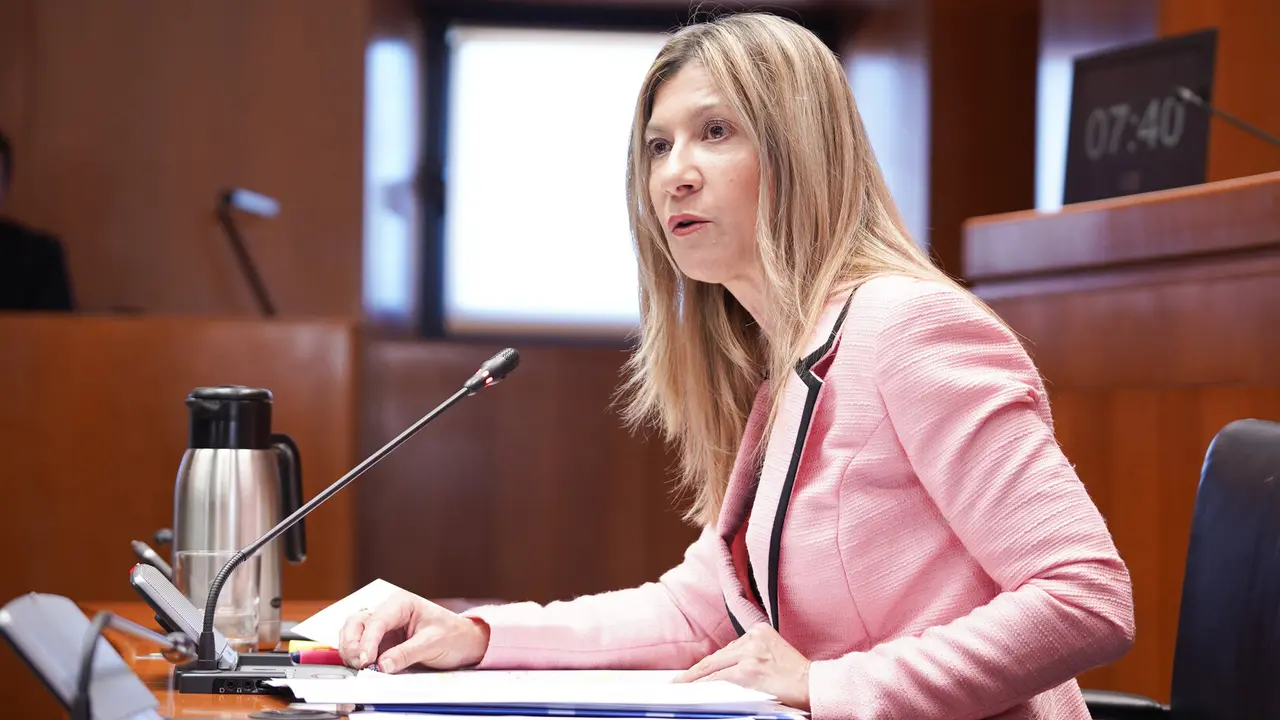 La vicepresidenta del Ejecutivo aragon&eacute;s, Mar Vaquero, en la Aljafer&iacute;a