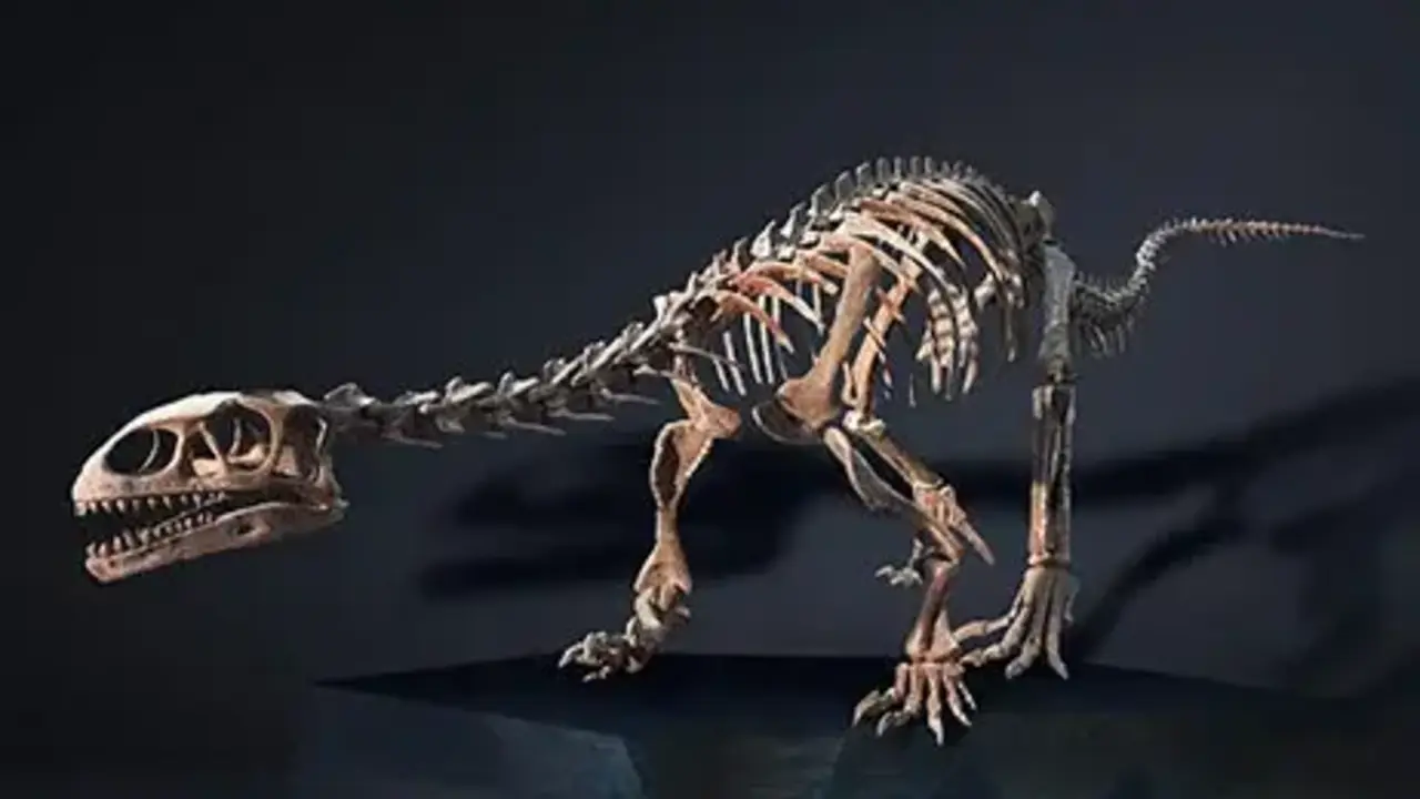 Dinosaurio.