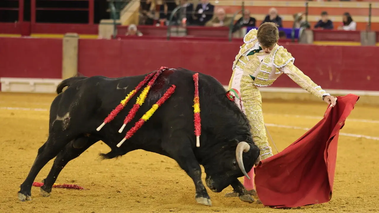 Javier Zulueta brilla en la Misericordia
