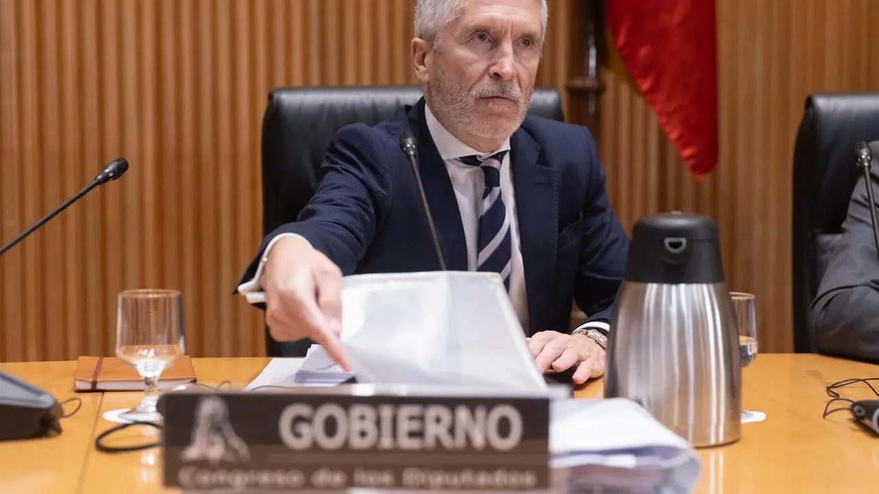 El ministro de Interior, Fernando Grande-Marlaska / EP