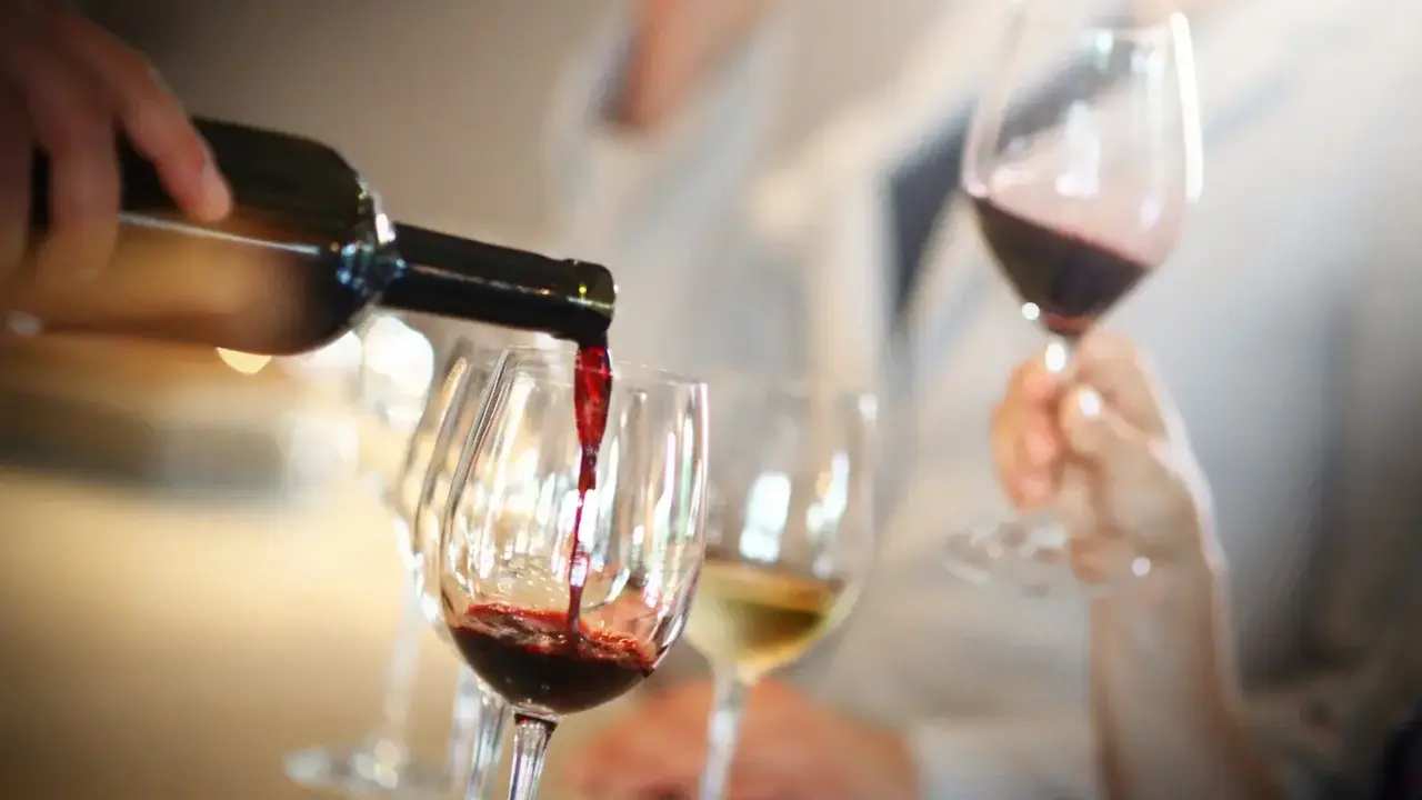 Curso &ldquo;Arag&oacute;n Alimentos de formaci&oacute;n en vinos&rdquo;