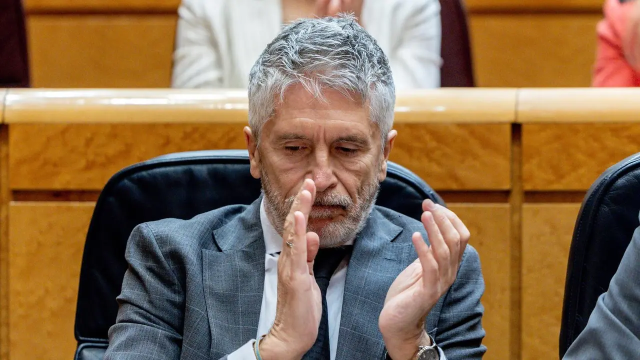 El ministro del Interior, Fernando Grande-Marlaska, durante una sesi&oacute;n de control al Gobierno en el Senado - Ricardo Rubio - Europa Press