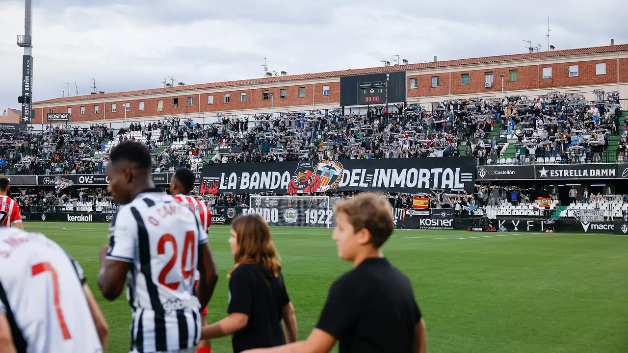 Estadio de Castalia lleno / CD Castell&oacute;n