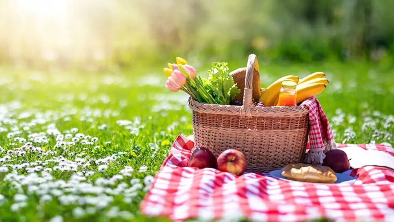 Picnic en primvera