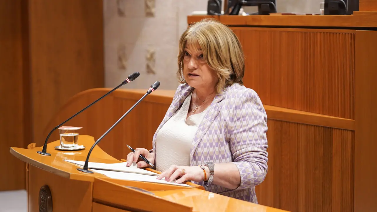 La consejera de Educaci&oacute;n, Tomasa Hern&aacute;ndez, en las Cortes