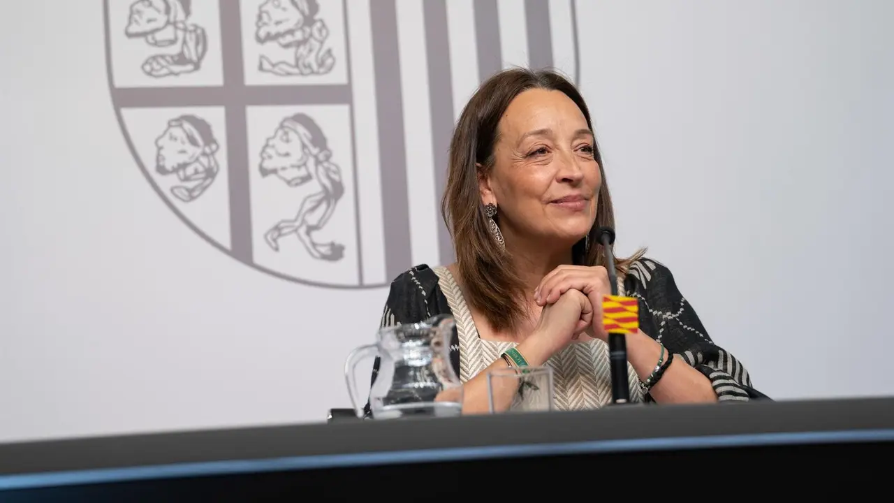 La consejera de Bienestar Social y Familia del Gobierno de Arag&oacute;n, Carmen Sus&iacute;n. - FABI&Aacute;N SIM&Oacute;N.