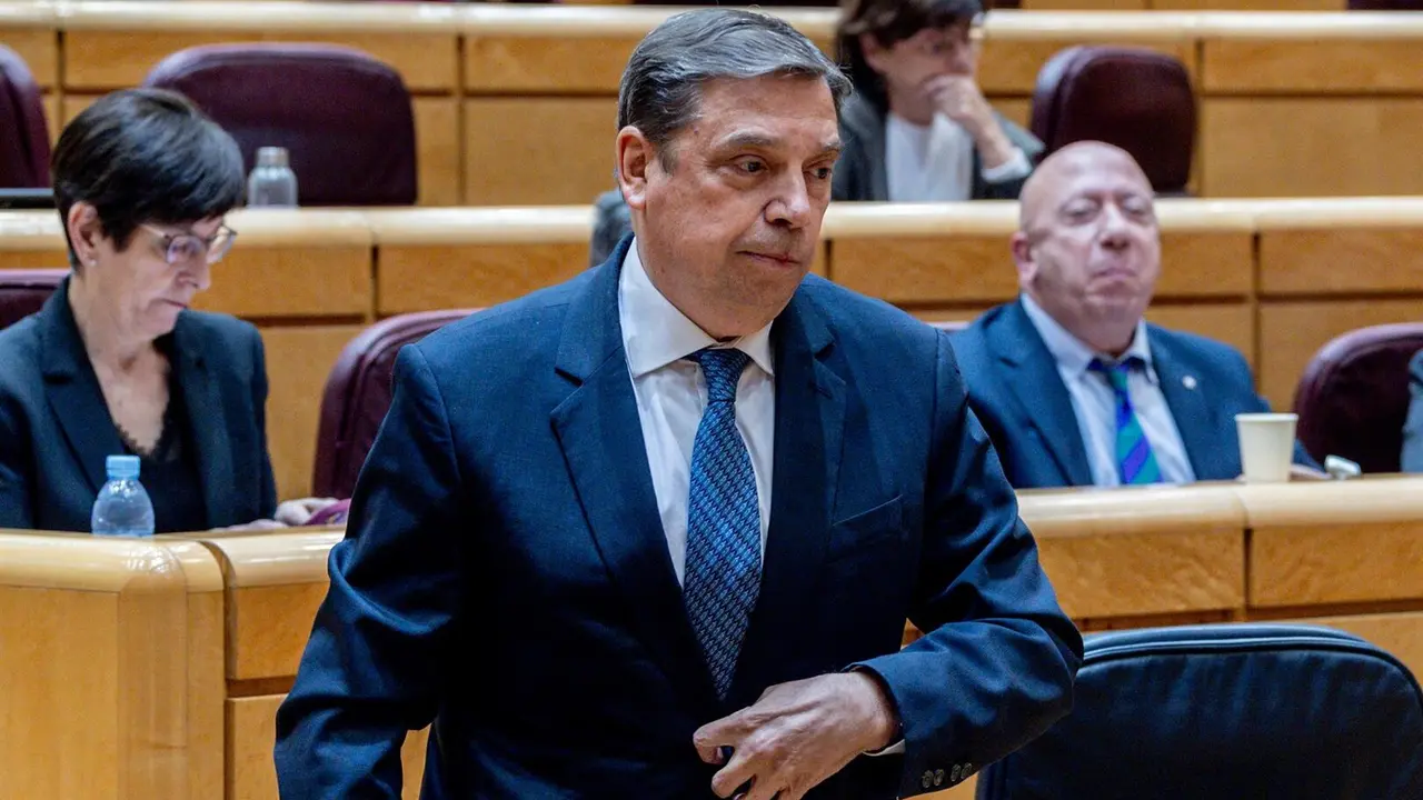 El ministro de Agricultura, Pesca y Alimentaci&oacute;n, Luis Planas. / EP