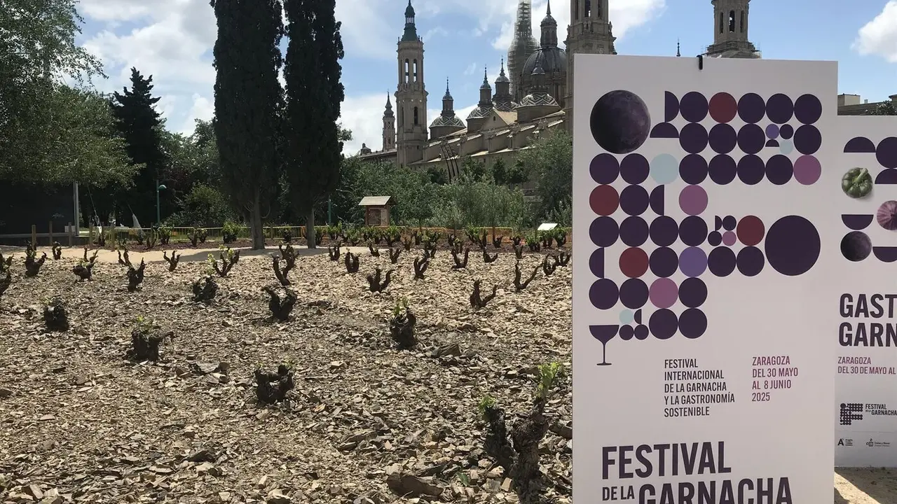Cartel del I Festival Internacional de la Garnacha en el parque de Macanaz - EP