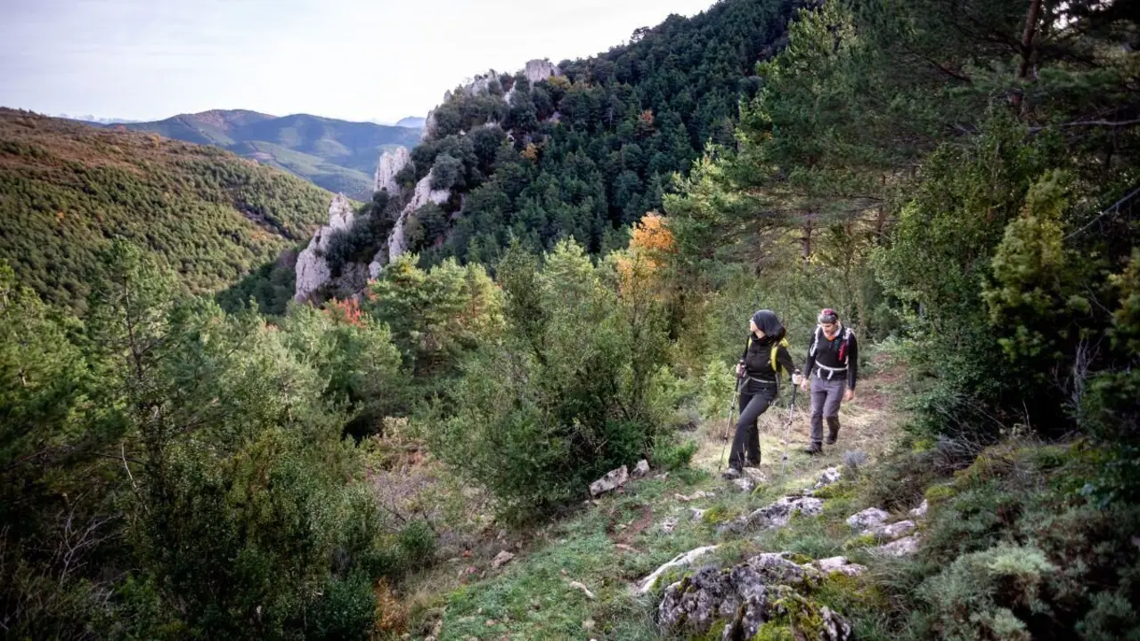 Sierra de Santo Domingo, en las Cinco Villas.