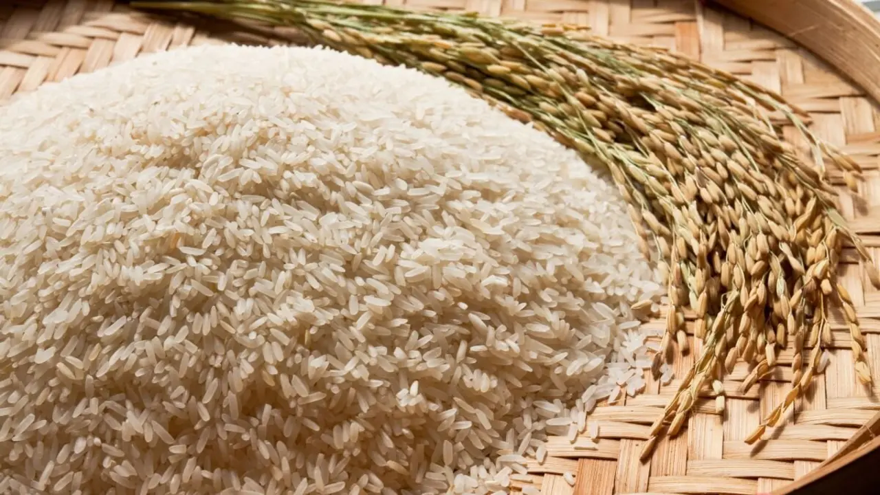 Alerta por ars&eacute;nico en el arroz integral seg&uacute;n la OCU