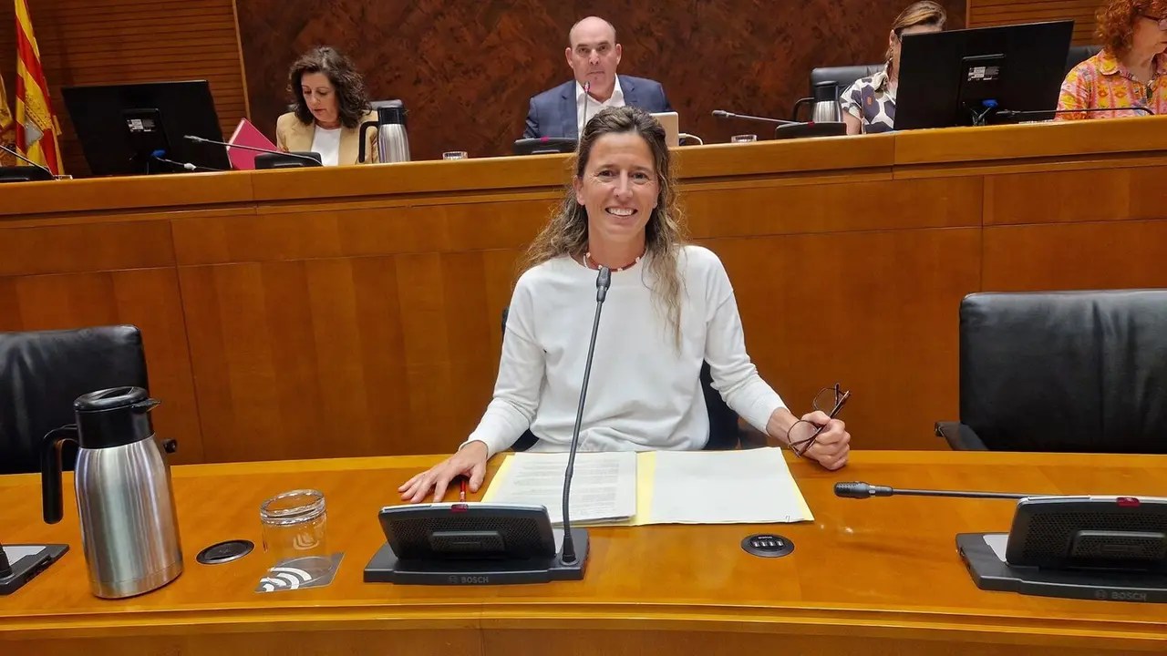La directora del Instituto Aragon&eacute;s de Ciencias de la Salud, Elena Gonzalvo. - DGA.