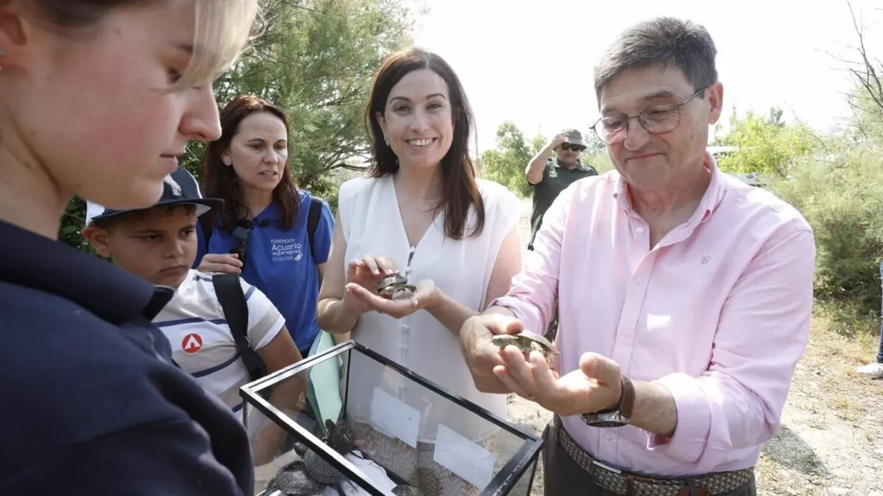 El r&iacute;o G&aacute;llego recibe, en Zaragoza, 15 nuevos gal&aacute;pagos europeos para impulsar la conservaci&oacute;n de esta especie amenazada - JAVIER BELVER